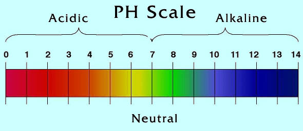 PH scale